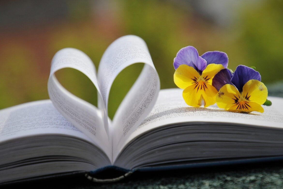 Dobra Biblioteczka: OPCJA MARYI, 11 lipca