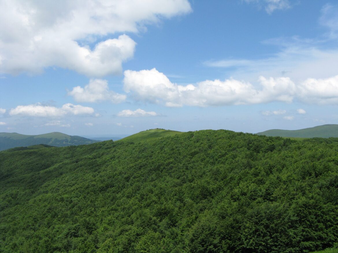 Po górach, dolinach – czyli górskimi ścieżkami ku niebu: Bieszczady cd. – wtorek, 9 maja, 9.15