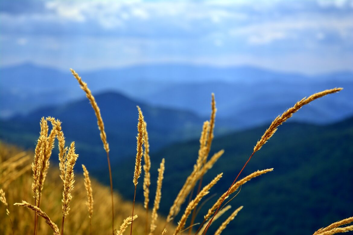 Po górach, dolinach – czyli górskimi ścieżkami ku niebu: Bieszczady – wtorek, 2 maja, 9.15