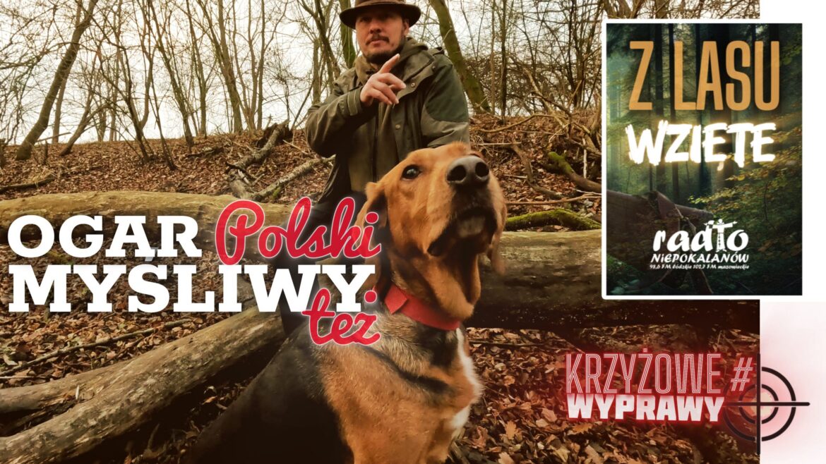 Z LASU WZIĘTE: Ogar Polski i Myśliwy też - sobota, 7 grudnia, 20.15