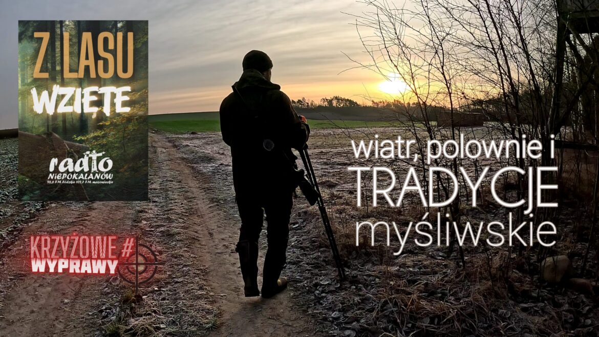 Z lasu wzięte: sobota, 4 stycznia, 20.15
