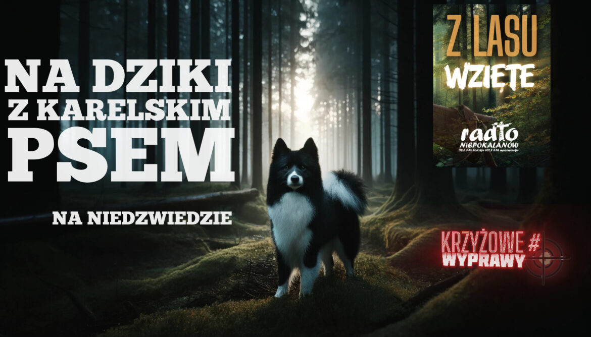 Z lasu wzięte: sobota, 11 stycznia, 20.15