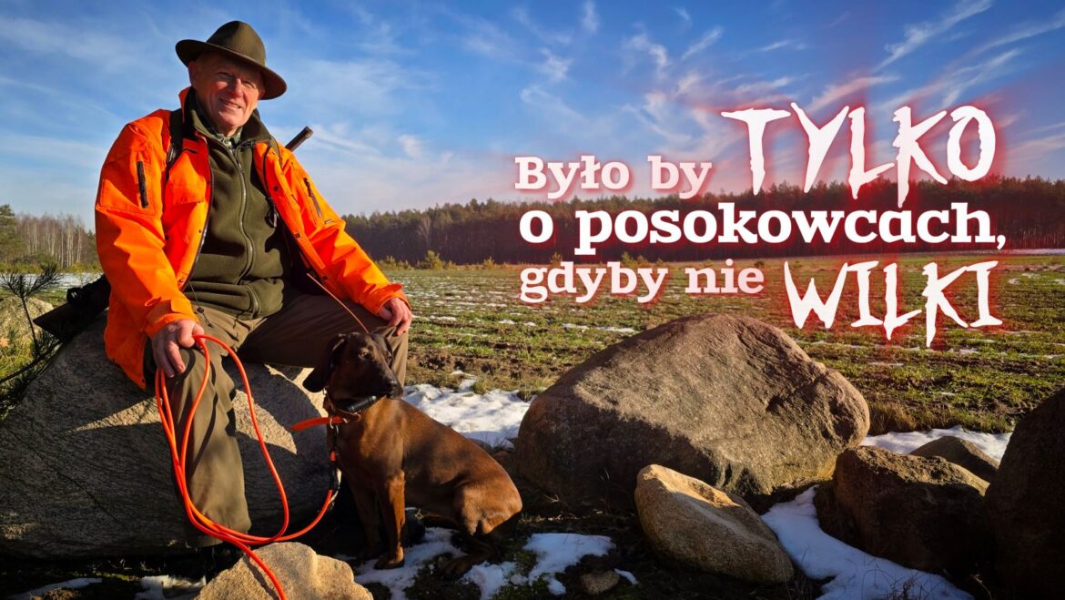 Z LASU WZIĘTE: 1000 postrzałków w dekadę i tropy wilka (cz. 2) - sobota, 1 lutego, 20.15
