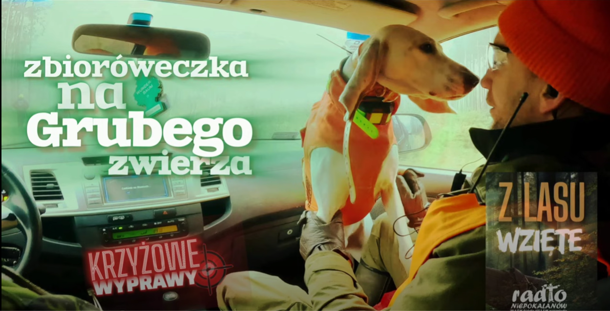 Tło