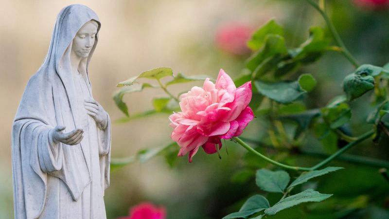 Z (o)grodu Maryi: Solo Dios basta