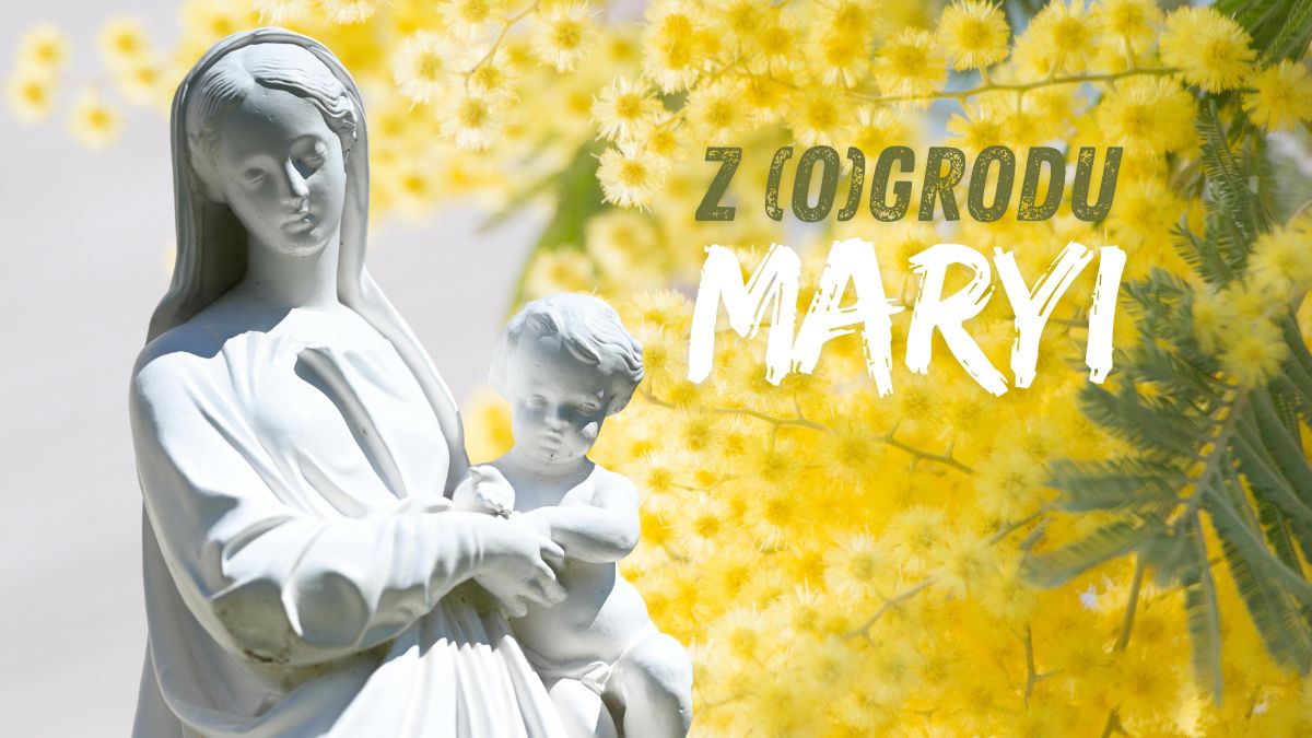 Z (o)grodu Maryi
