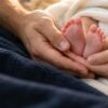 Projekt PRO-LIFE