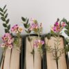 Dobra Biblioteczka